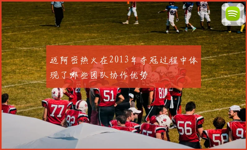 迈阿密热火在2013年夺冠过程中体现了哪些团队协作优势