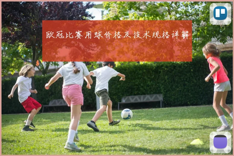 欧冠比赛用球价格及技术规格详解