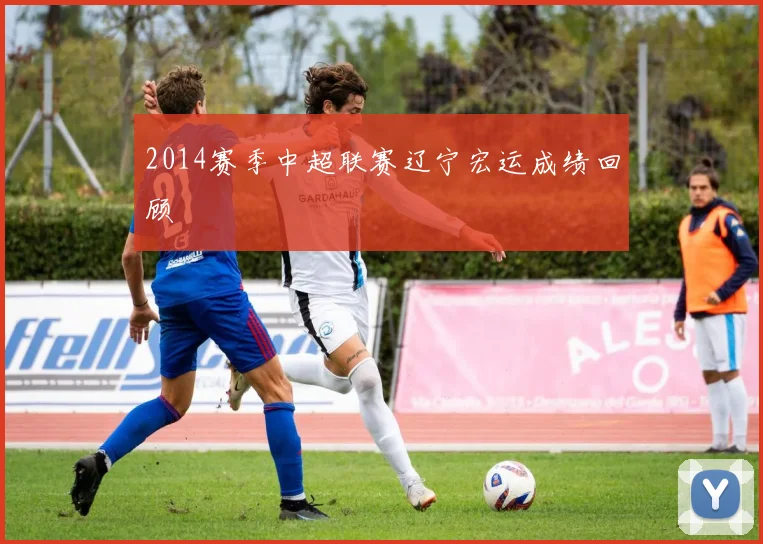 2014赛季中超联赛辽宁宏运成绩回顾